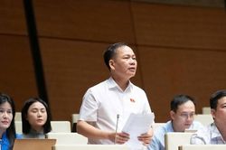 Cần cơ chế nghiêm khắc với lao động Việt Nam vi phạm pháp luật ở nước ngoài