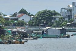 30/33 hộ cam kết di dời lồng bè, trả lại mặt nước sông Như Ý