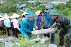Hơn 1.000 người chung sức tái tạo dòng chữ 'BÁC HỒ SỐNG MÃI' trên núi Nhón