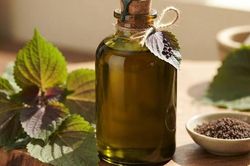 3 lợi ích của dầu tía tô với người ăn kiêng, giảm cân