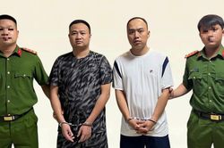 Vì sao giám đốc doanh nghiệp vật liệu xây dựng Đại Nam bị khởi tố?