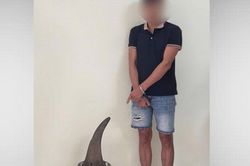 Vận chuyển 3,64 kg sừng tê giác, người đàn ông ở Cao Bằng bị bắt tạm giam