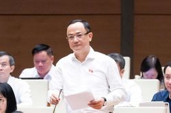 Quốc hội thảo luận, xem xét về dự án Luật Phát triển đô thị