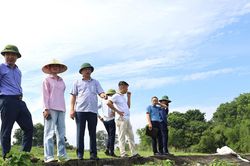 Thanh Hóa: Xử lý các điểm đê, kè xung yếu sau phản ánh của Báo Đại đoàn kết