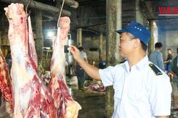 Đề xuất bố tr&iacute; 1,2 tỉ đồng cho kiểm so&aacute;t giết mổ ở H&agrave; Tĩnh