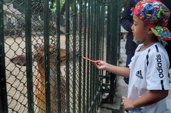 Góc nhìn 365: Công viên Thủ Lệ và hành trình nối dài ký ức đô thị
