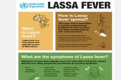 Số ca tử vong do dịch sốt Lassa ở Nigeria tăng lên 237 người