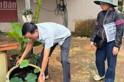 Trường hợp đầu tiên tử vong do sốt xuất huyết Dengue trong năm 2026 ở Đắk Lắk