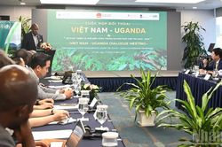 Việt Nam, Uganda thúc đẩy hợp tác phát triển cà phê bền vững