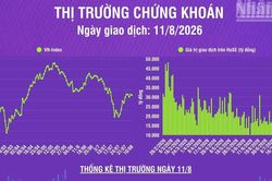 [Infographic] Chứng khoán ngày 11/8: VN-Index giảm nhẹ hơn 3 điểm, thanh khoản thị trường giảm