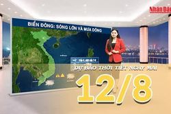 [Video] Dự báo thời tiết đêm nay và ngày mai ngày 12/8/2026: Nắng nóng gia tăng ở Bắc Bộ và Trung Bộ, mưa dông giảm ở phía Nam