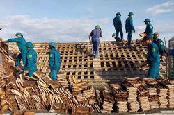 Dựng mái ấm, vun đắp nghĩa tình