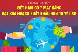 Việt Nam có 7 mặt hàng xuất khẩu trên 10 tỷ USD trong 7 tháng năm 2026