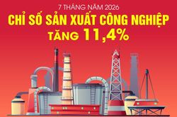 Chỉ số sản xuất c&ocirc;ng nghiệp của Việt Nam tăng 11,4% trong 7 th&aacute;ng năm 2026