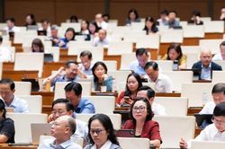 Ngày 11/8, Quốc hội thảo luận dự án Luật Phát triển đô thị