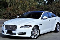 Cập nhật bảng giá xe hãng Jaguar mới nhất tháng 8/2026