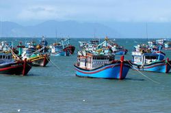 Kế hoạch thực hiện khuyến nghị của EC, quyết tâm gỡ 'Thẻ vàng' IUU trong năm 2026