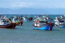 Kế hoạch thực hiện khuyến nghị của EC, quyết tâm gỡ 'Thẻ vàng' IUU trong năm 2026