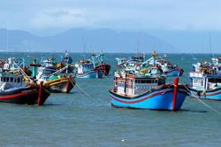 Kế hoạch thực hiện khuyến nghị của EC, quyết t&acirc;m gỡ 'Thẻ v&agrave;ng' IUU trong năm 2026