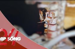 NHỊP SỐNG 24: Cố nuốt cơm chữa hóc xương, người đàn ông 35 tuổi thủng thực quản