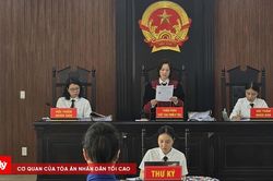 Hoãn phiên tòa xét xử giám đốc công ty tổ chức show 'Về đây bốn cánh chim trời'