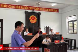 Tài xế xe đầu kéo gây tai nạn tại khu vực có biển cảnh báo
