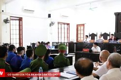 48 bị cáo trong đường dây lừa đảo có tổ chức hầu tòa