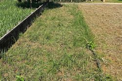 Bỏ 500 triệu mua đất vùng ven, chấp nhận cắt lỗ 100 triệu vẫn ế