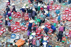 Chợ làng chài cách Hà Nội 3,5 giờ lái xe, hải sản tươi, mực từ 100.000 đồng/kg