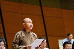 Đại biểu Quốc hội đề nghị bổ sung thẩm quyền cho tỉnh về khu thương mại tự do