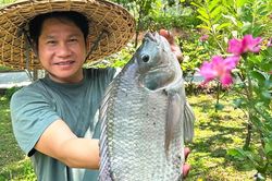 Ca sĩ Trọng Tấn câu được cá to, cuộc sống đầy hoa tươi của hoa hậu Giáng My