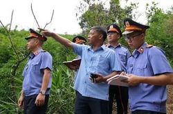 Lá chắn bảo vệ rừng