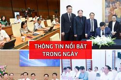 Nghệ An: Thông tin nổi bật ngày 11/8