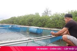 Chủ động bảo vệ thủy sản trước mùa mưa bão