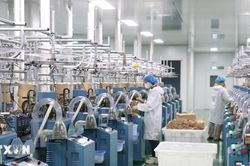 Nhà đầu tư nước ngoài tiếp tục bổ sung nguồn lực cho các dự án tại Tây Ninh
