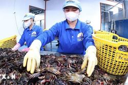Tây Ninh: Mở thêm không gian để kinh tế tư nhân bứt phá