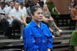 Cựu Chủ tịch Tập đoàn Mỹ Hạnh hầu tòa do lừa đảo góp vốn trồng sâm Ngọc Linh
