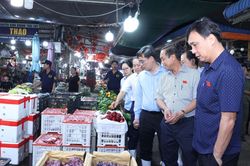 Sửa luật an toàn thực phẩm, lấp nhiều khoảng trống pháp lý