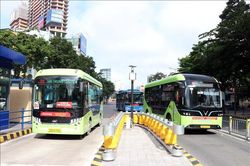 TP Hồ Ch&iacute; Minh ưu ti&ecirc;n cho xe bu&yacute;t khi tổ chức giao th&ocirc;ng đ&ocirc; thị