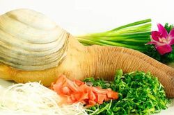Loài ốc có tên nghe lạ tai và hình dáng đặc biệt, gây chú ý nhờ phần thịt giòn ngọt