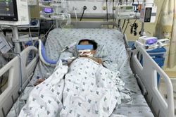 Ăn thịt chuột, ba chị em nguy kịch