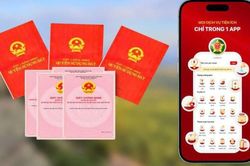 Cách tra cứu giấy chứng nhận quyền sử dụng đất trên VNeID
