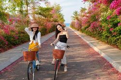 Lễ hội ngàn hoa gia tăng sức hút cho du lịch Quy Nhơn
