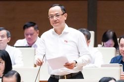 Cần kiểm soát chặt việc tháo gỡ dự án chậm triển khai, tránh hợp thức hóa lợi ích
