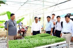 Cởi nút thắt con giống: Vĩnh Long quyết làm chủ vốn quý nông nghiệp