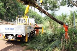 Lịch cắt điện Đồng Nai ngày mai 12/8 cập nhật mới nhất