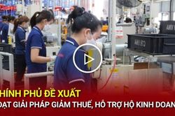 Chính phủ đề xuất loạt giải pháp giảm thuế, hỗ trợ hộ kinh doanh