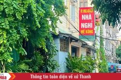 Xanh một góc, chật cả con đường