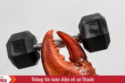 Giới c&ocirc;ng nghệ x&ocirc;n xao sau khi AI Claude x&acirc;m nhập tr&aacute;i ph&eacute;p v&agrave;o ph&ograve;ng gym