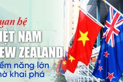 Quan hệ Việt Nam - New Zealand: Tiềm năng lớn chờ khai phá